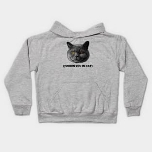 Judges You in Cat Kids Hoodie